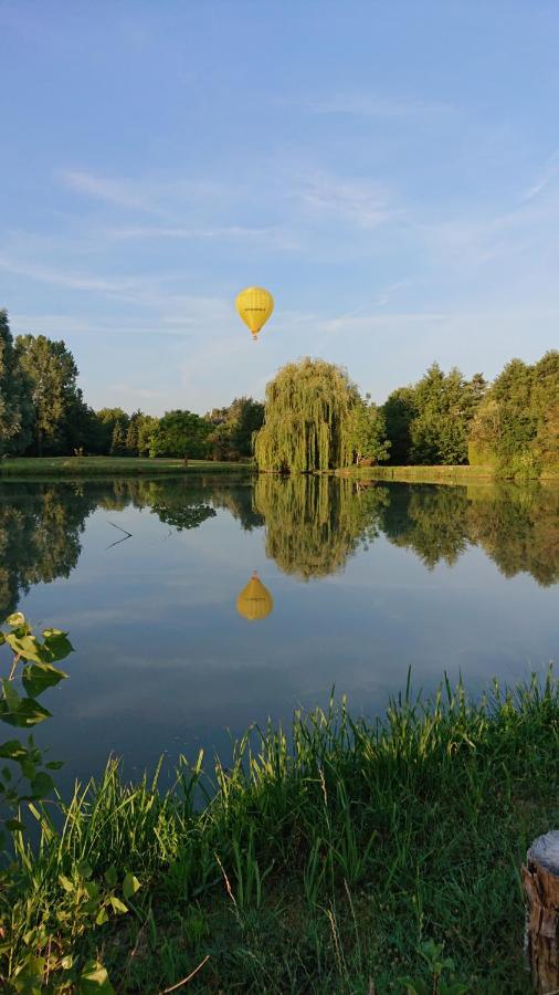 Bed & Breakfast Moulin Du Fief Gentil Blere